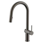 Daweier Single-Lever Pull Out Kitchen Faucet with Dual Function Spray Head EK7283132GMB