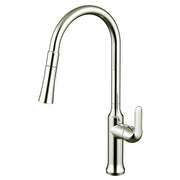Daweier Single-Lever Pull Out Kitchen Faucet EK7557149BN