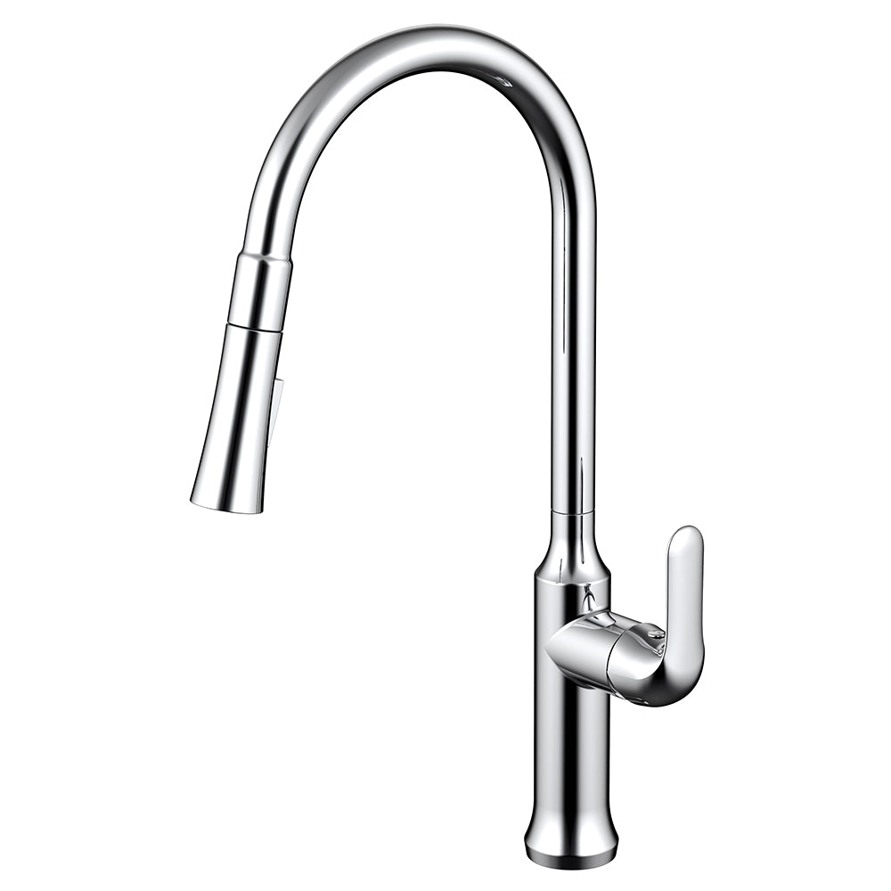 Daweier Single-Lever Pull Out Kitchen Faucet EK7557149C