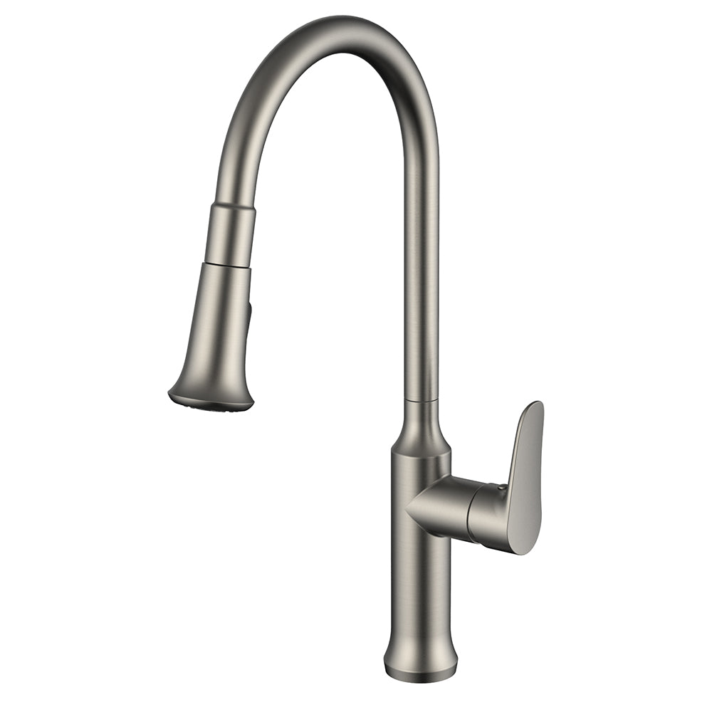Daweier Single-Lever Pull Out Kitchen Faucet EK7557213BN