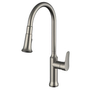 Daweier Single-Lever Pull Out Kitchen Faucet EK7557213BN