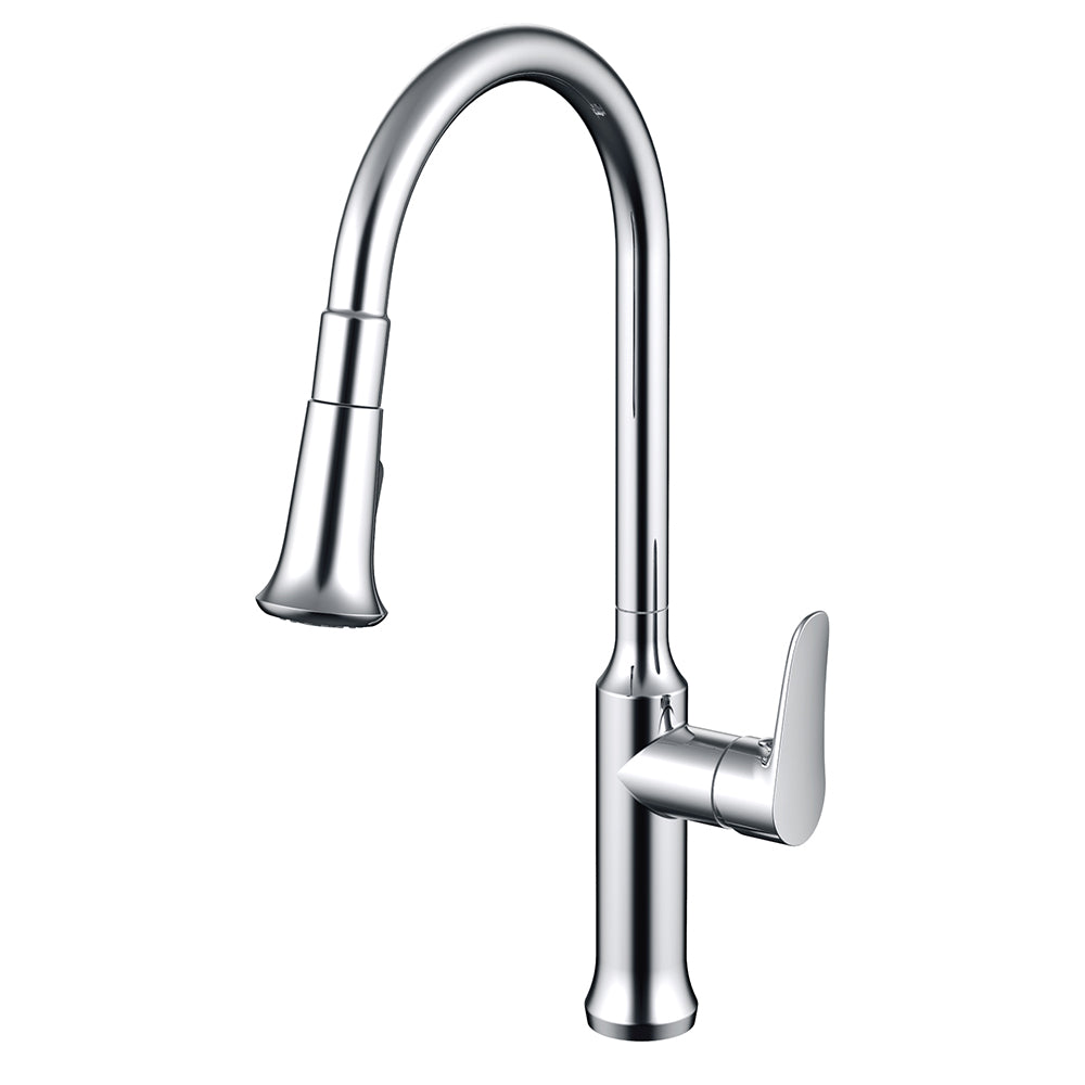 Daweier Single-Lever Pull Out Kitchen Faucet EK7557213C