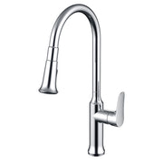 Daweier Single-Lever Pull Out Kitchen Faucet EK7557213C