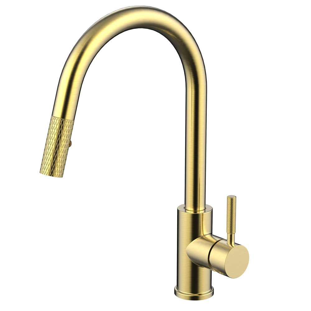 Daweier Single-Lever Pull Out Kitchen Faucet with Dual Function Spray Head EK7857298BG