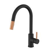 Daweier Single-Lever Pull Out Kitchen Faucet with Dual Function Spray Head EK7857298RGB