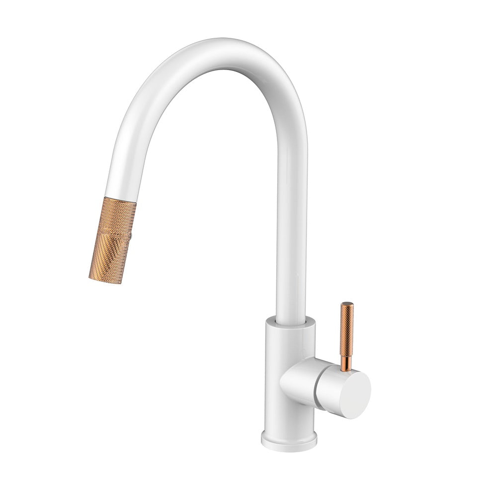 Daweier Single-Lever Pull Out Kitchen Faucet with Dual Function Spray Head EK7857298RGW