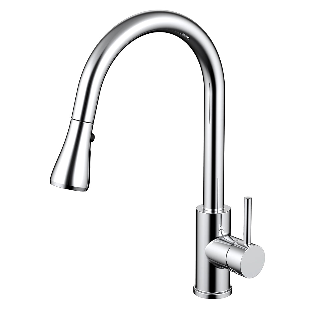 Daweier Single-Lever Pull Out Kitchen Faucet EK78572C
