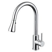 Daweier Single-Lever Pull Out Kitchen Faucet EK78572C