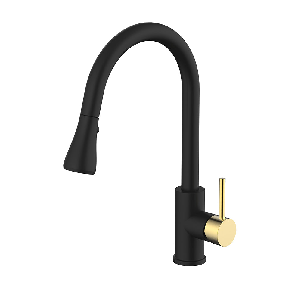 Daweier Single-Lever Pull Out Kitchen Faucet EK78572GB