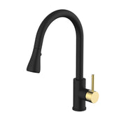 Daweier Single-Lever Pull Out Kitchen Faucet EK78572GB
