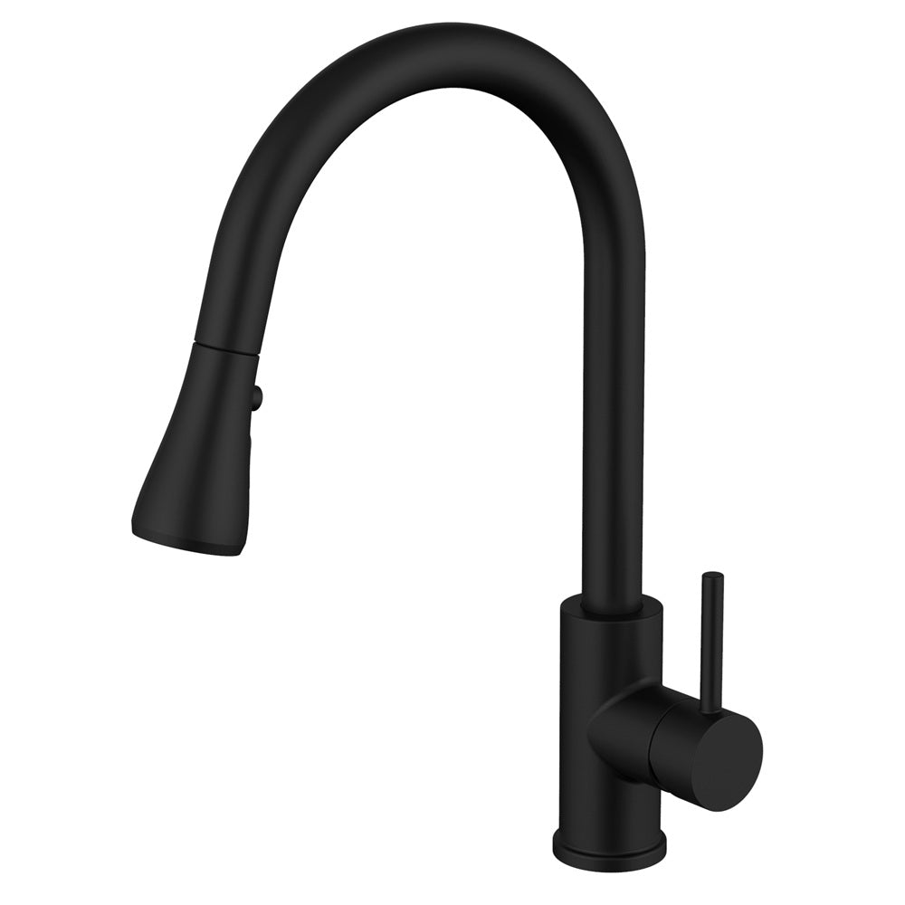 Daweier Single-Lever Pull Out Kitchen Faucet EK78572MB