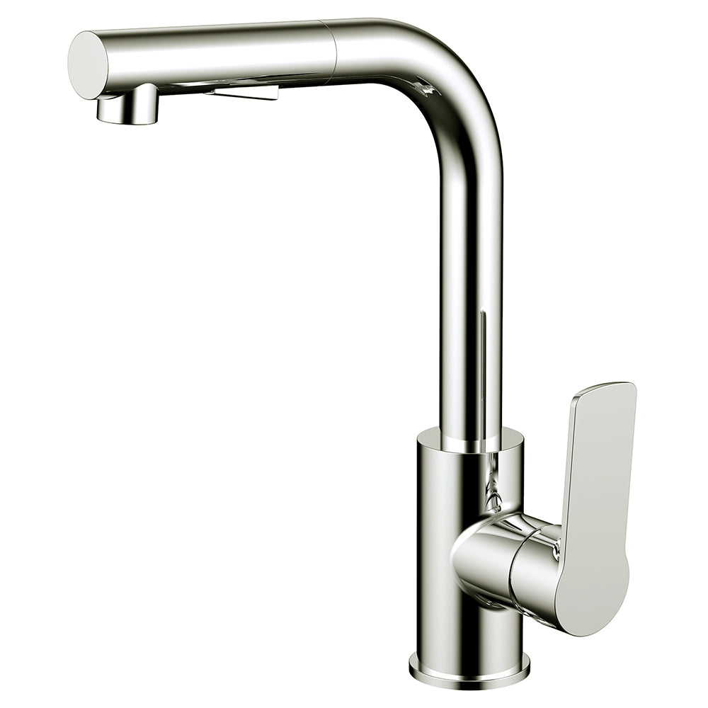 Daweier Single-Lever Pull Out Kitchen Faucet EK7859149BN