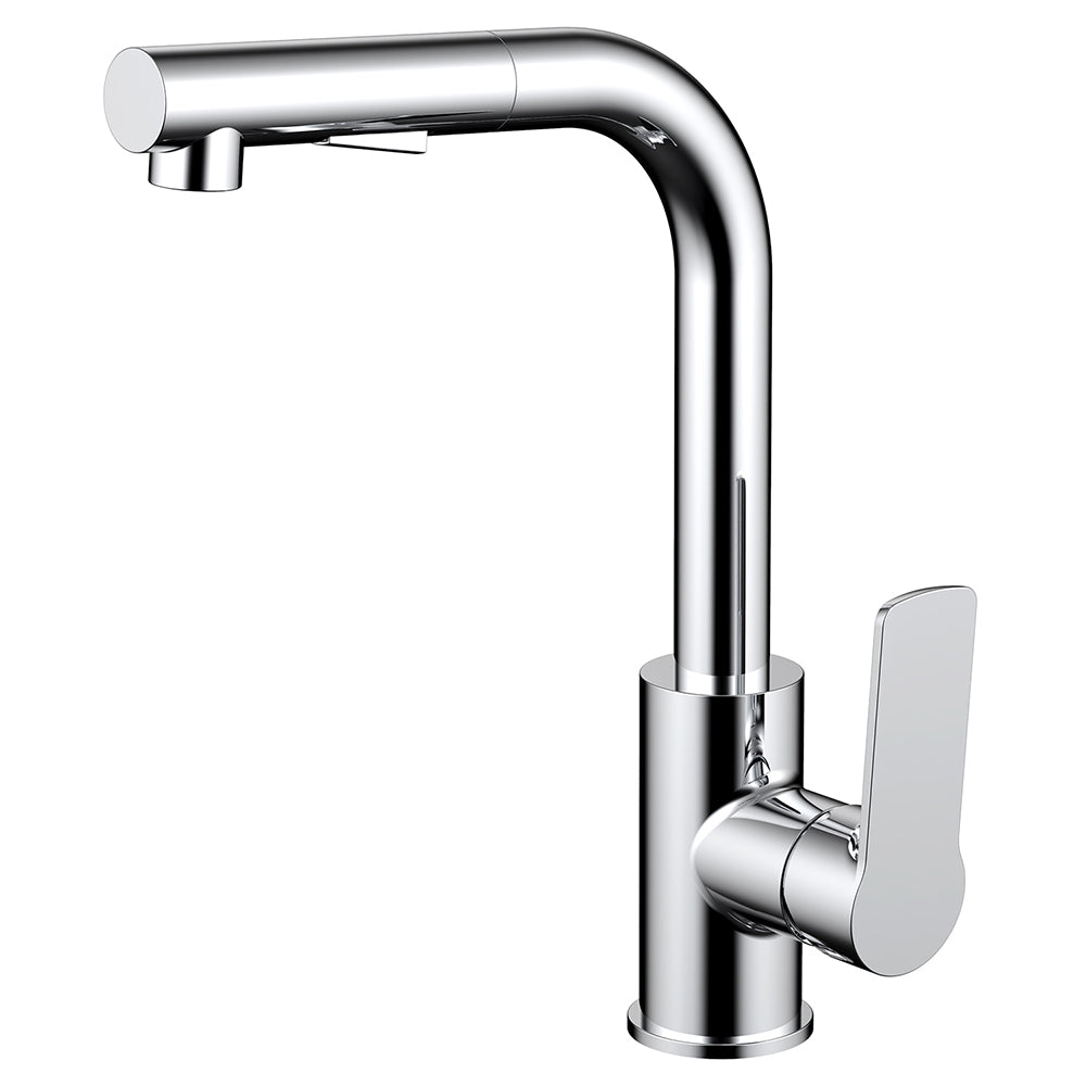Daweier Single-Lever Pull Out Kitchen Faucet EK7859149C