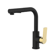 Daweier Single-Lever Pull Out Kitchen Faucet EK7859149GB