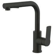 Daweier Single-Lever Pull Out Kitchen Faucet EK7859149ORB