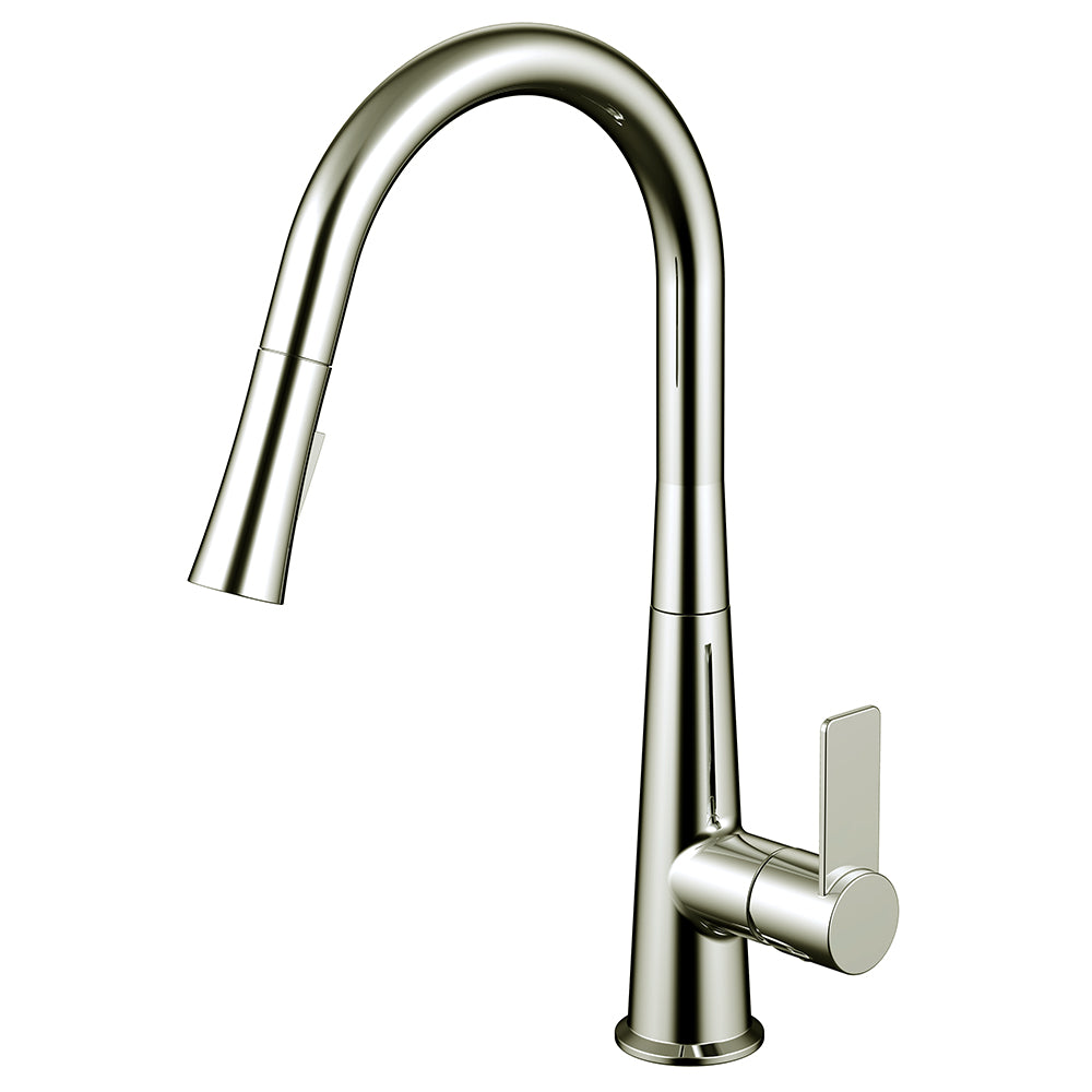 Daweier Single-Lever Pull Out Kitchen Faucet EK7860182BN
