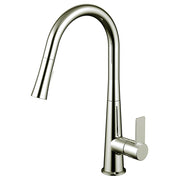 Daweier Single-Lever Pull Out Kitchen Faucet EK7860182BN