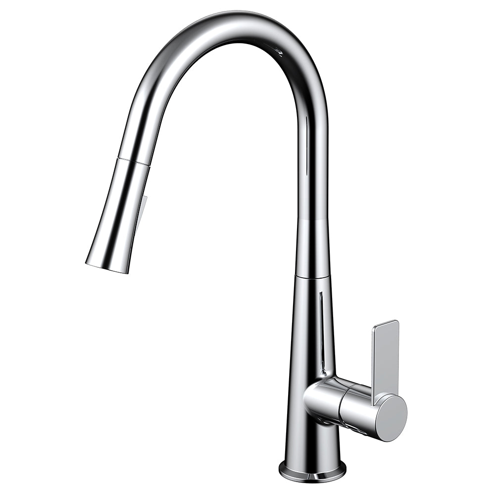 Daweier Single-Lever Pull Out Kitchen Faucet EK7860182C