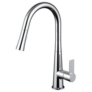 Daweier Single-Lever Pull Out Kitchen Faucet EK7860182C