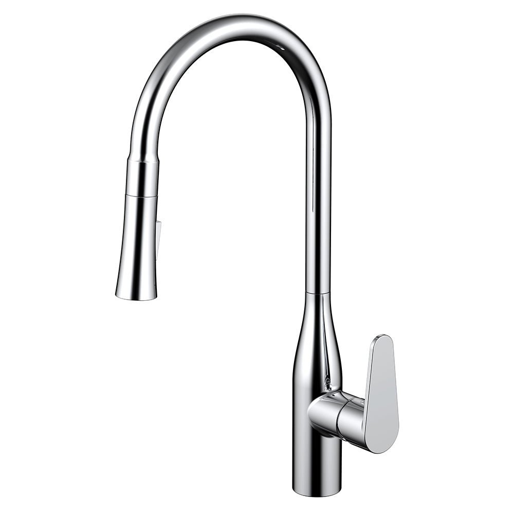 Daweier Single-Lever Pull Out Kitchen Faucet EK7861183C