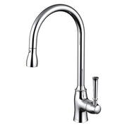 Daweier Single-Lever Pull Out Kitchen Faucet EK7862182C