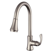 Daweier Single-Lever Pull Out Kitchen Faucet EK7869196BN