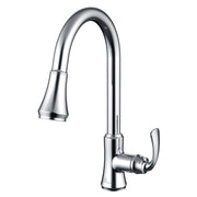 Daweier Single-Lever Pull Out Kitchen Faucet EK7869196C