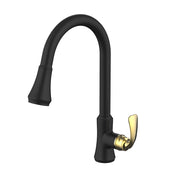 Daweier Single-Lever Pull Out Kitchen Faucet EK7869196GB