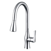 Daweier Single-Lever Pull Out Kitchen Faucet EK788001C