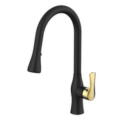 Daweier Single-Lever Pull Out Kitchen Faucet EK788001GB