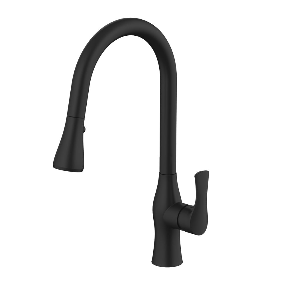 Daweier Single-Lever Pull Out Kitchen Faucet EK788001MB