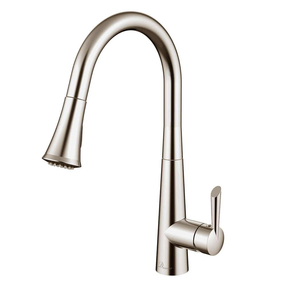 Daweier Single-Lever Pull Out Kitchen Faucet EK7890221BN
