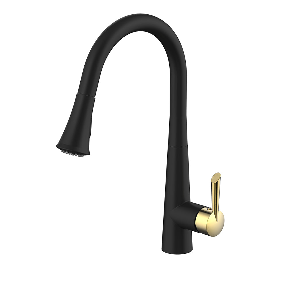 Daweier Single-Lever Pull Out Kitchen Faucet EK7890221GB