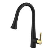Daweier Single-Lever Pull Out Kitchen Faucet EK7890221GB