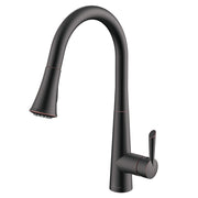 Daweier Single-Lever Pull Out Kitchen Faucet EK7890221ORB