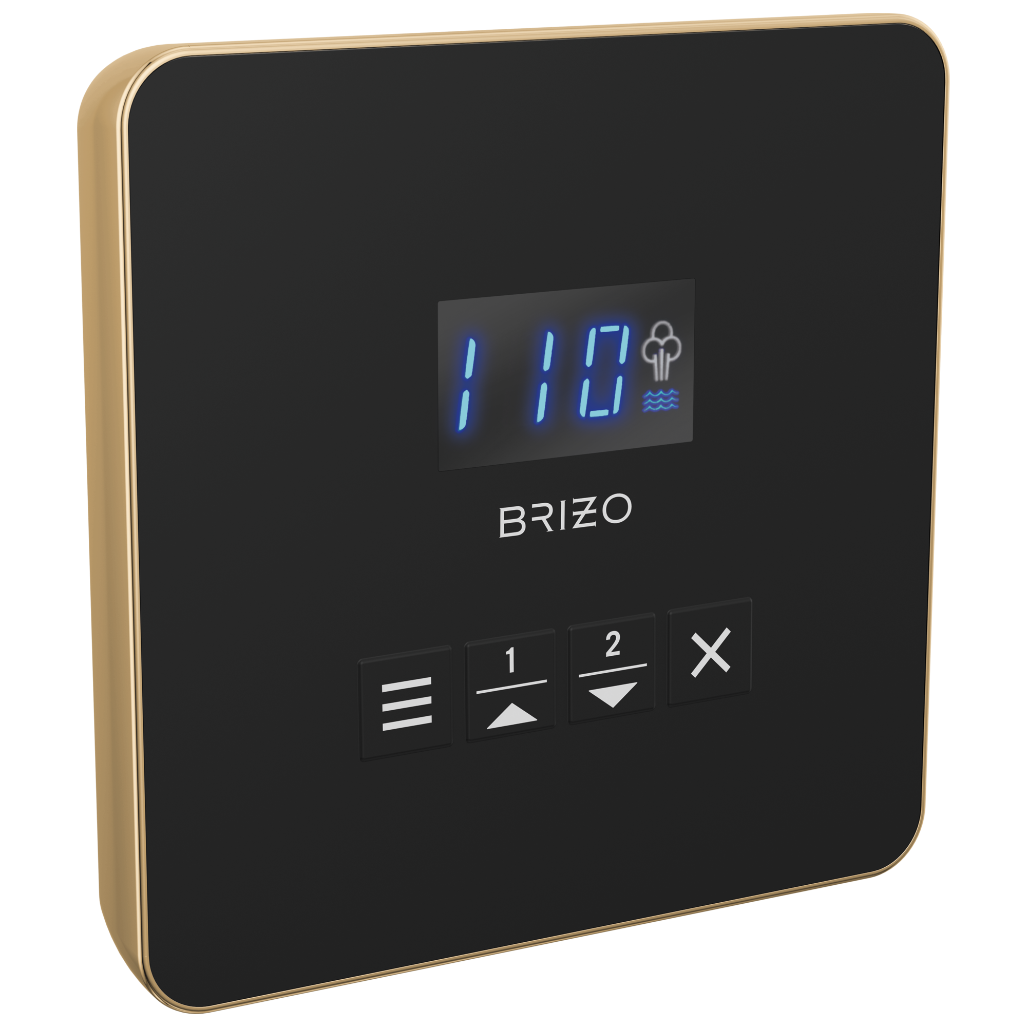 Brizo Other Mystix™ Square Steam Control