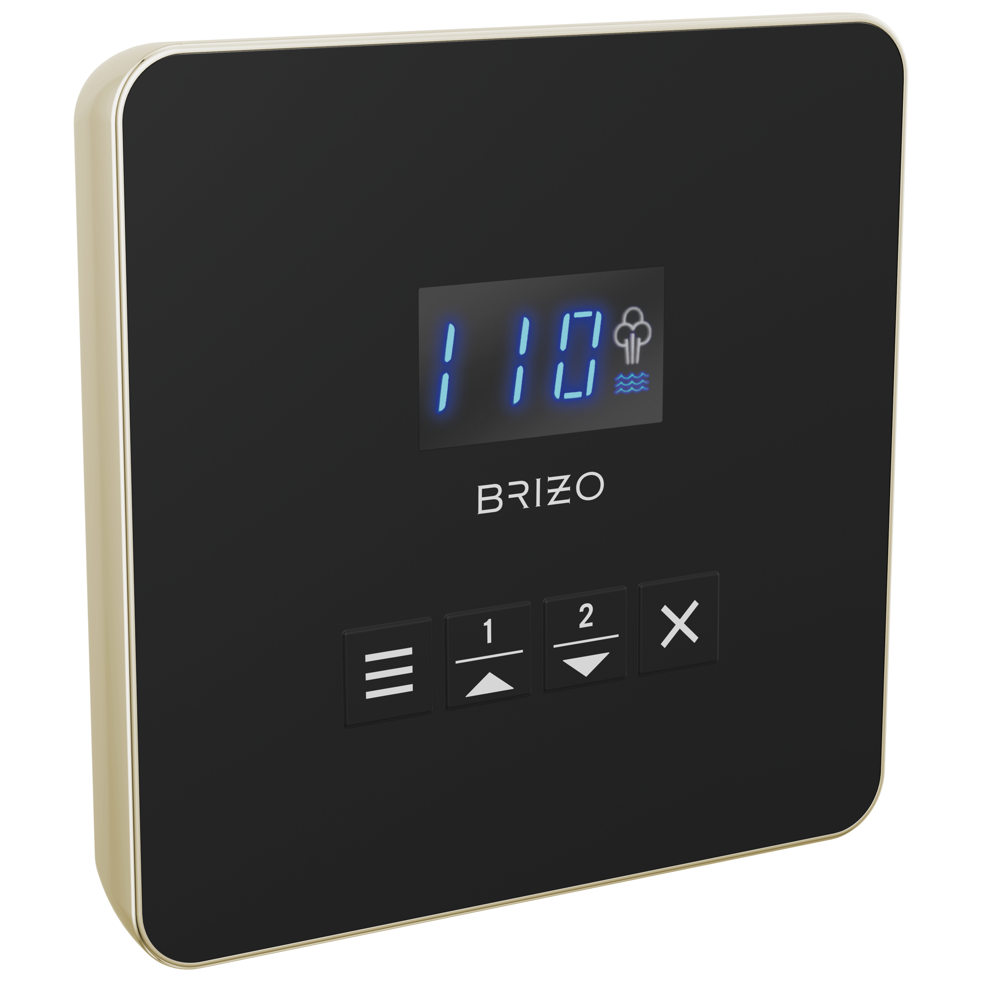 Brizo Other Mystix™ Square Steam Control
