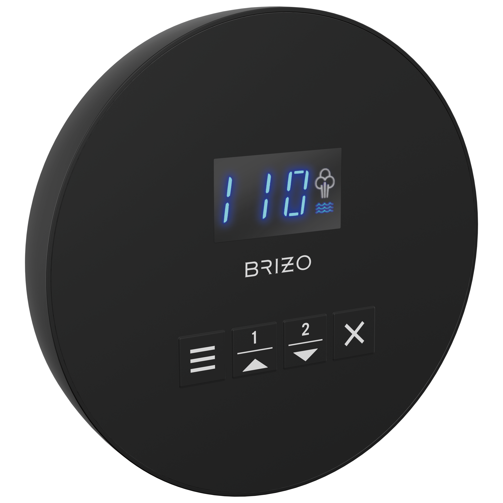 Brizo Other Mystix™ Round Steam Control