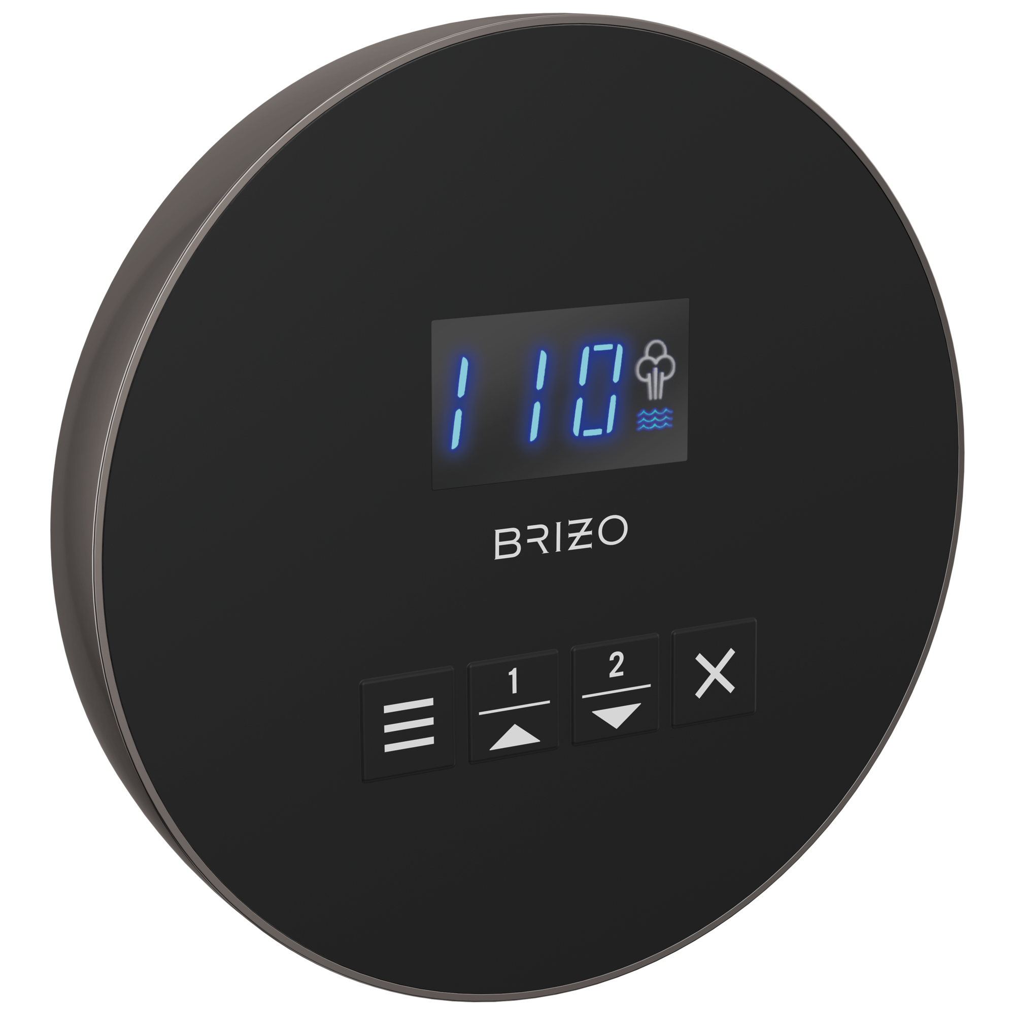 Brizo Other Mystix™ Round Steam Control