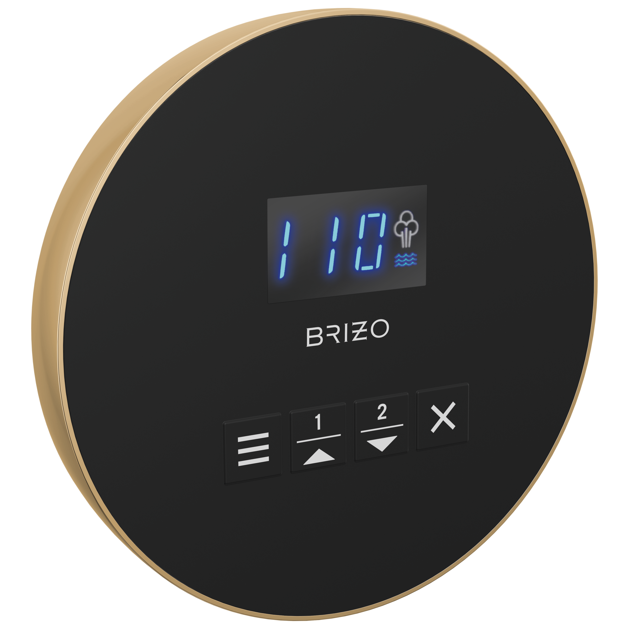 Brizo Other Mystix™ Round Steam Control