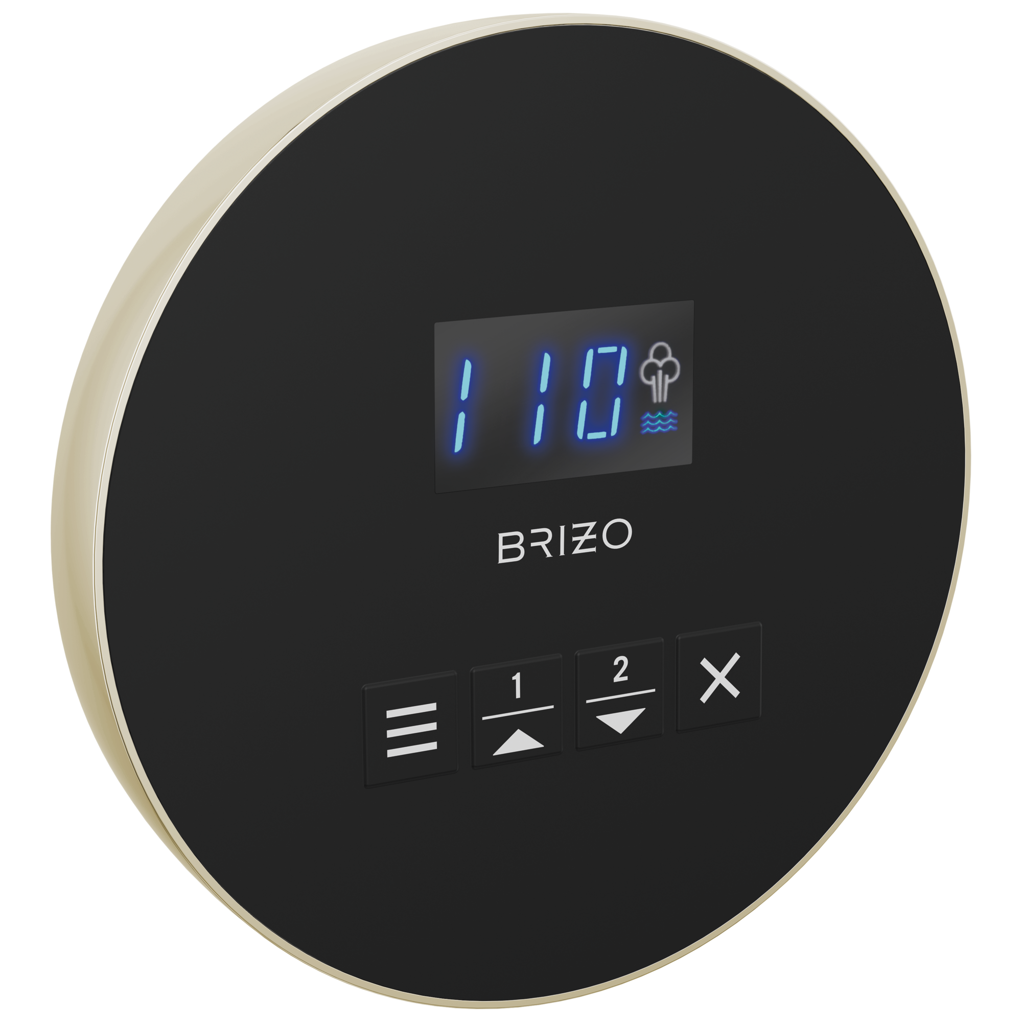 Brizo Other Mystix™ Round Steam Control