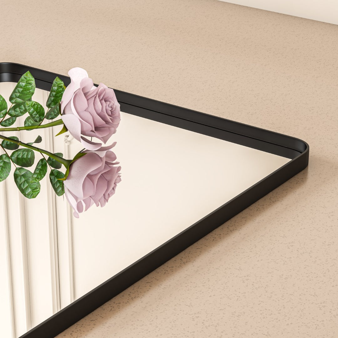 Eviva Harmony Black Metal Framed Mirror