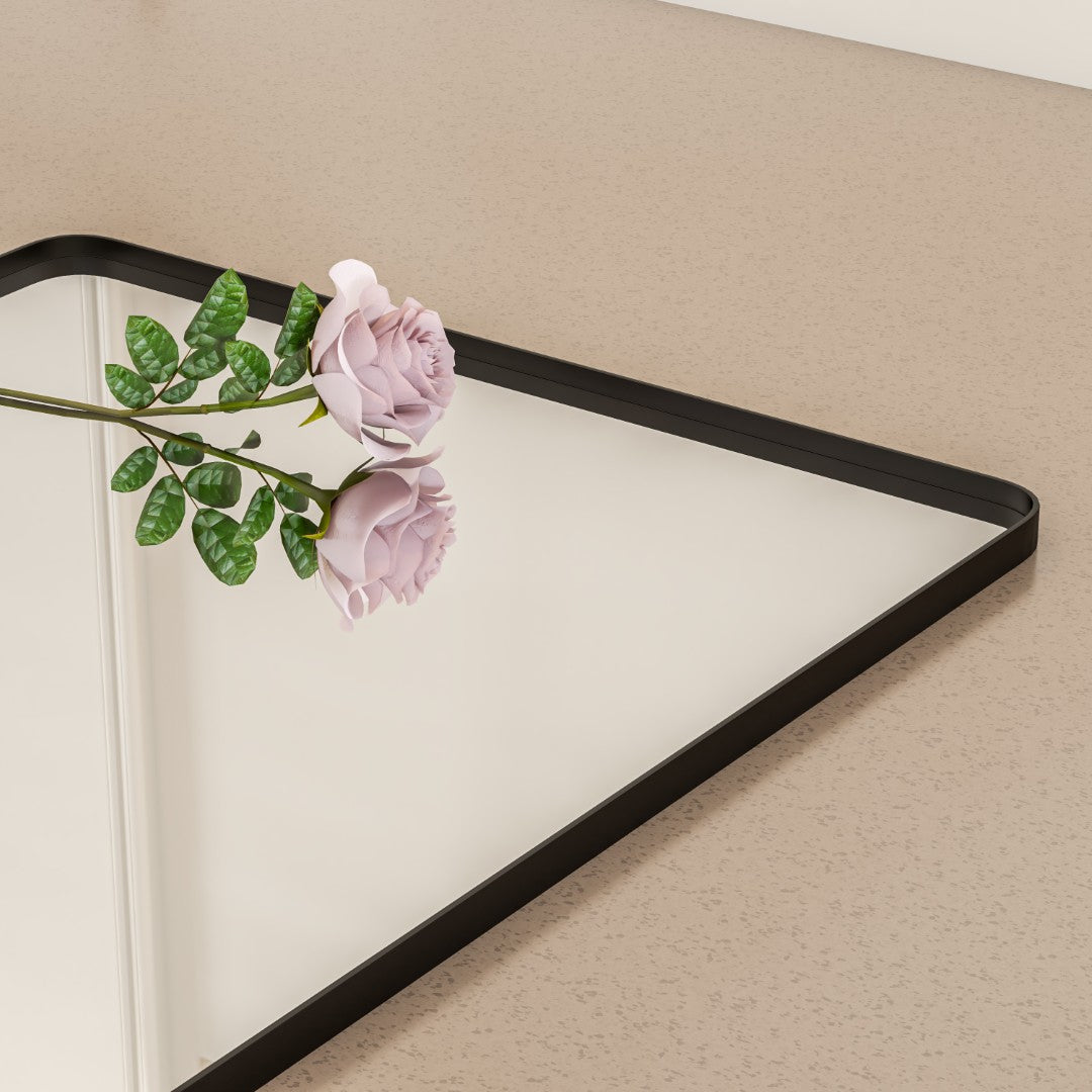 Eviva Harmony Black Metal Framed Mirror