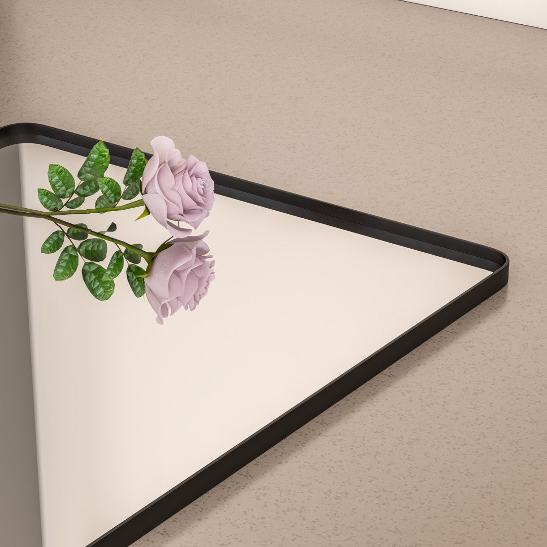Eviva Harmony Black Metal Framed Mirror