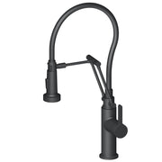 Blossom Single Handle Pull Out Kitchen Faucet F01 208