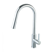 Single Handle Pull Down Kitchen Faucet - F01 201