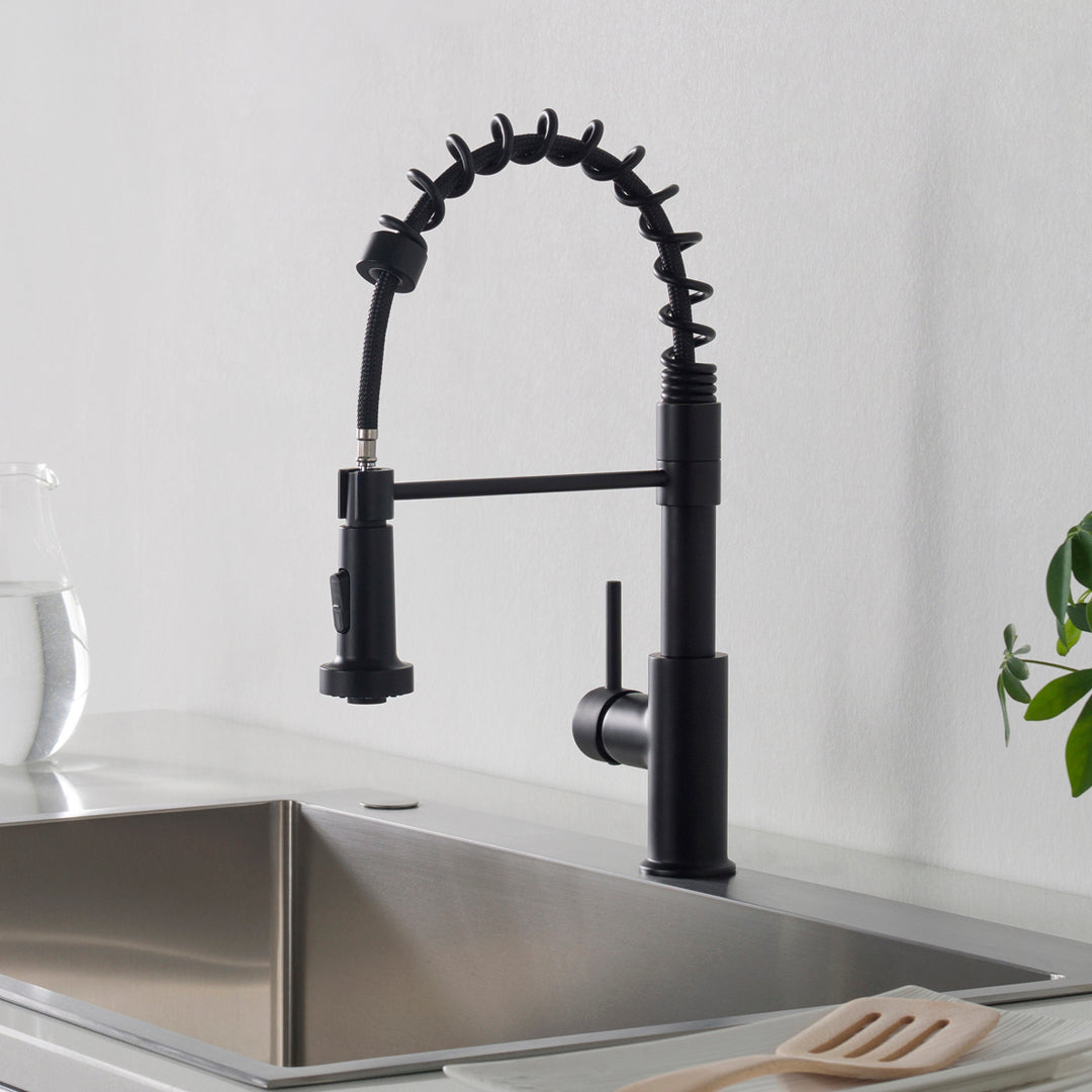 Single Handle Pull Out Kitchen Faucet - F01 205