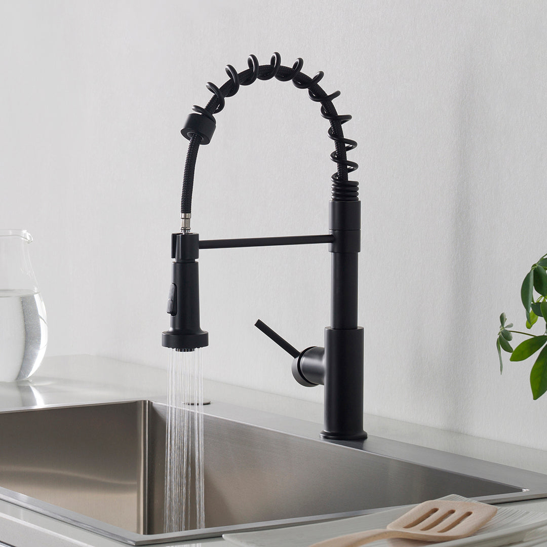 Single Handle Pull Out Kitchen Faucet - F01 205