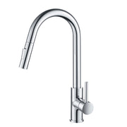 Single Handle Pull Down Kitchen Faucet - F01 206