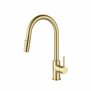 Blossom Single Handle Pull Down Kitchen Faucet F01 206